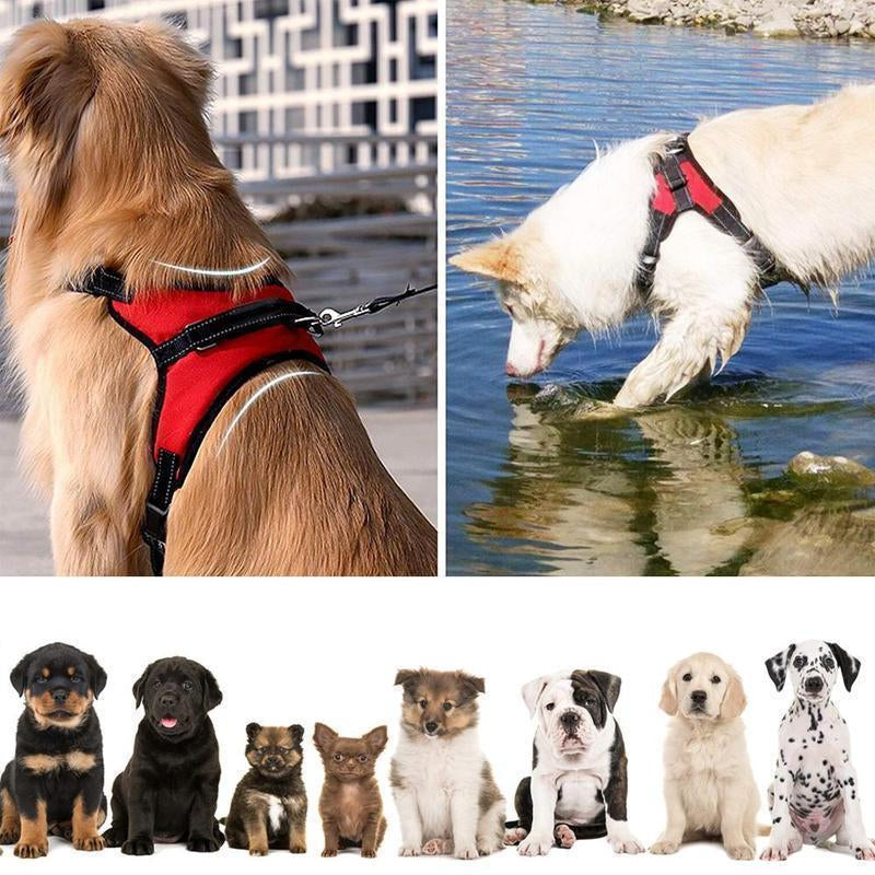 ® No-Pull Dog Harness, Adjustable Harness for Dogs