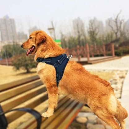 ® No-Pull Dog Harness, Adjustable Harness for Dogs