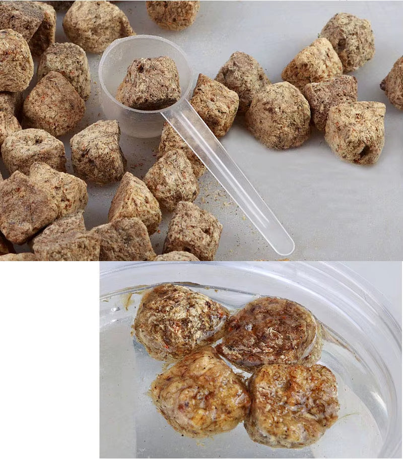 Fish Food Red Blood Warm Brine Shrimp Dry Vacuum Freeze-Dried Artemia Salina Tropical Aquarium Small Fish Feed