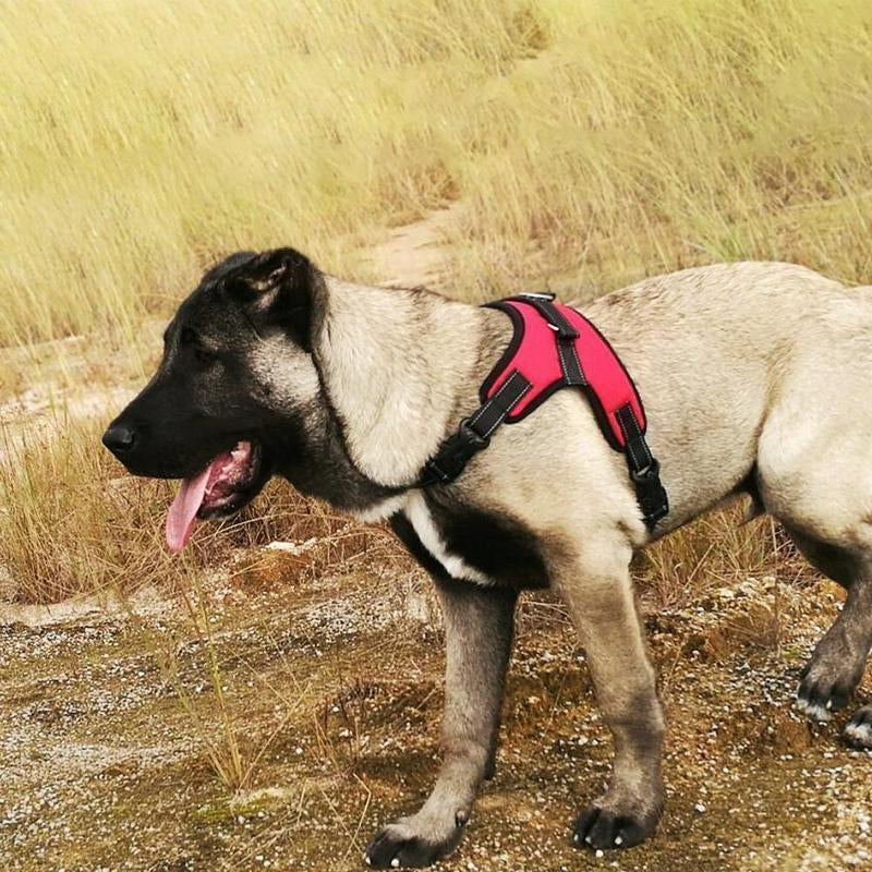 ® No-Pull Dog Harness, Adjustable Harness for Dogs