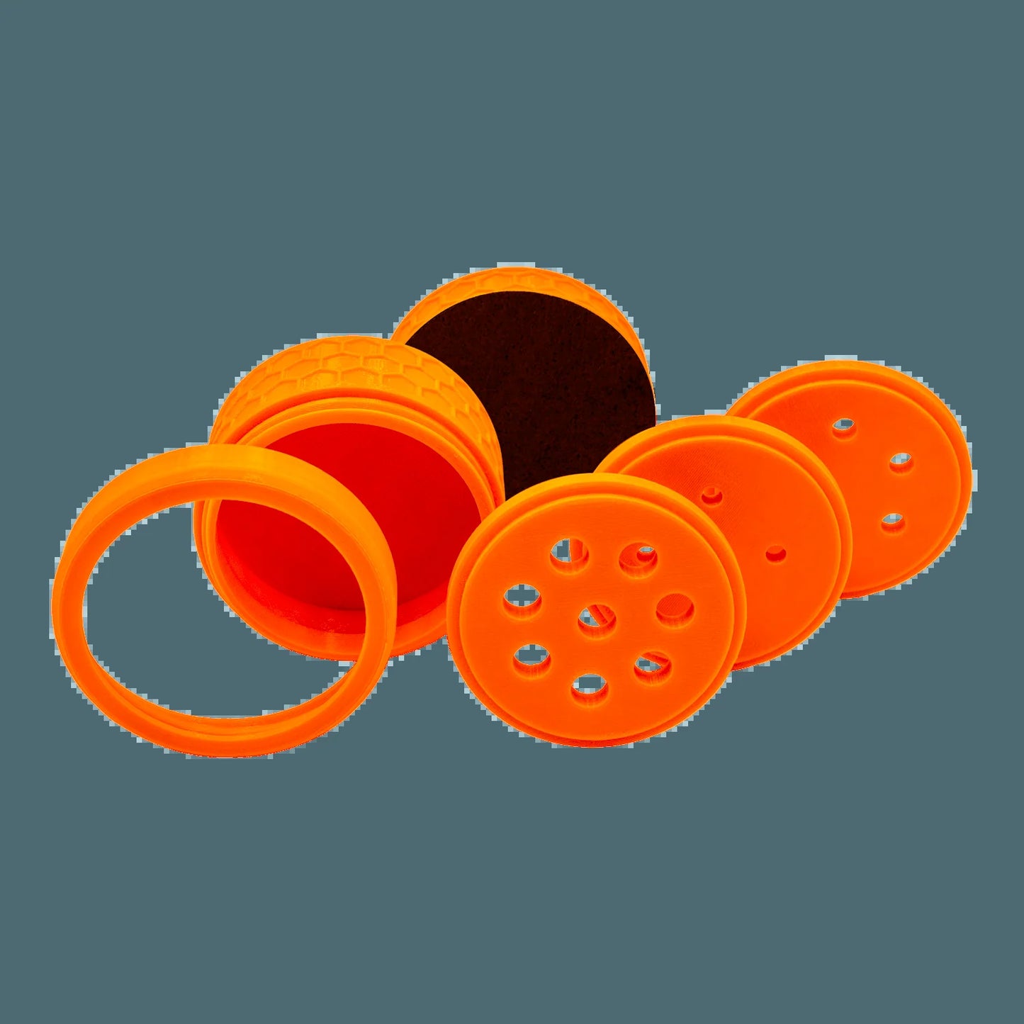 Copperband Butterfly Fish Feeder