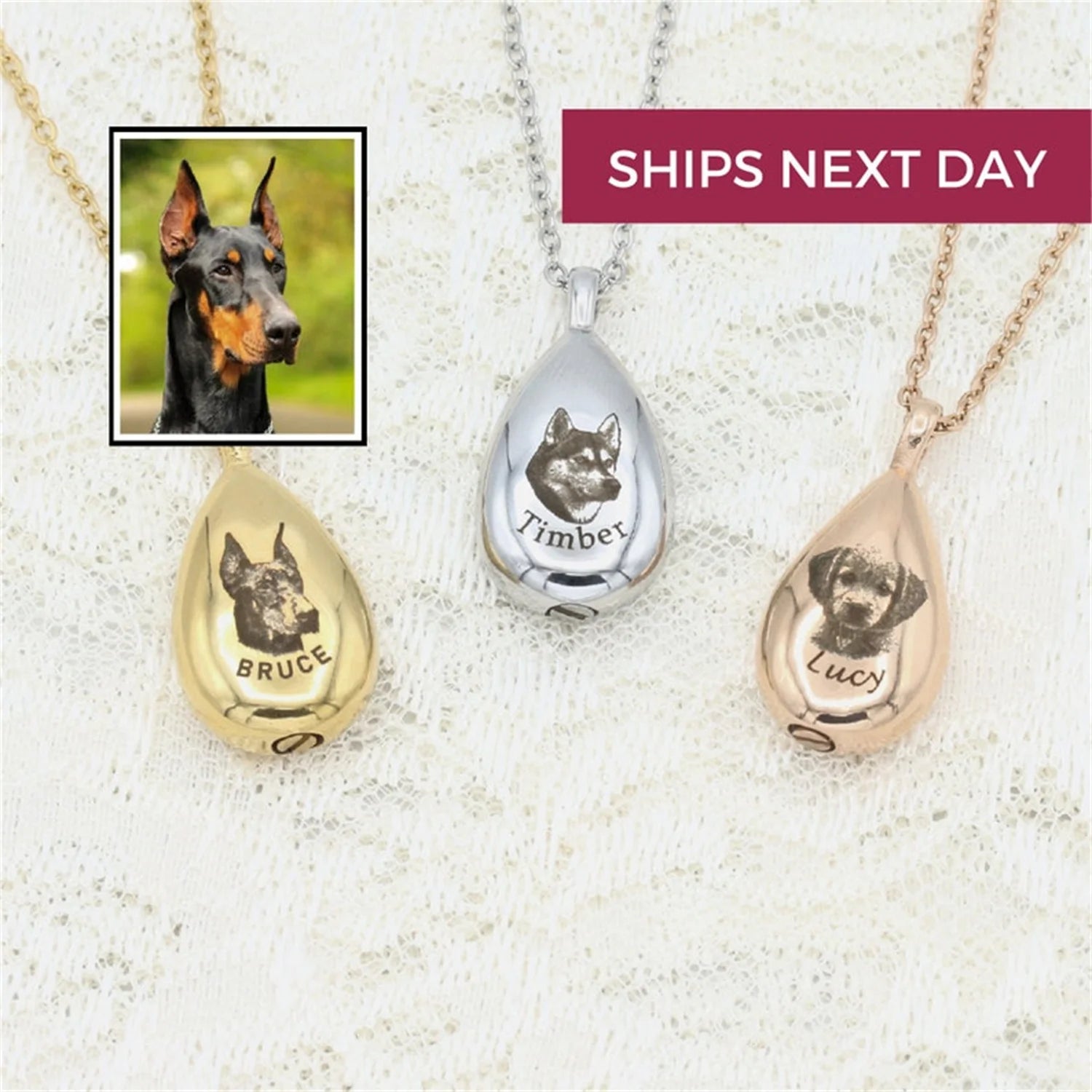 Pet Memorial Jewelry Custom Pet Urn Necklace Urns for Dogs Pet Loss Gifts Cat Urn Ashes Pet Custom Stainless Steel Pet Necklace