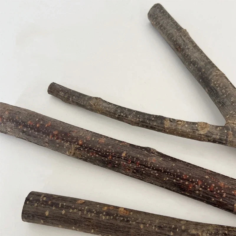 New Parrot Perch Birdcage Accessories Perches Stand Wood Perch Suction Cup Bird Toy