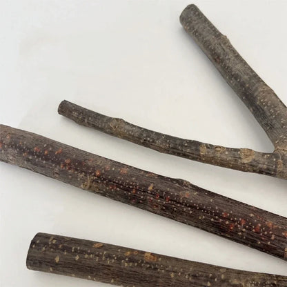 New Parrot Perch Birdcage Accessories Perches Stand Wood Perch Suction Cup Bird Toy