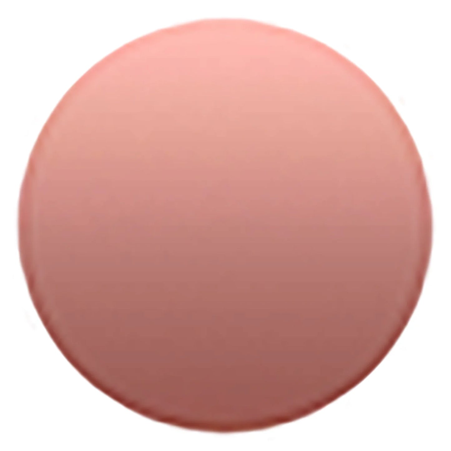 Pet Memorial Jewelry Custom Pet Urn Necklace Urns for Dogs Pet Loss Gifts Cat Urn Ashes Pet Custom Stainless Steel Pet Necklace