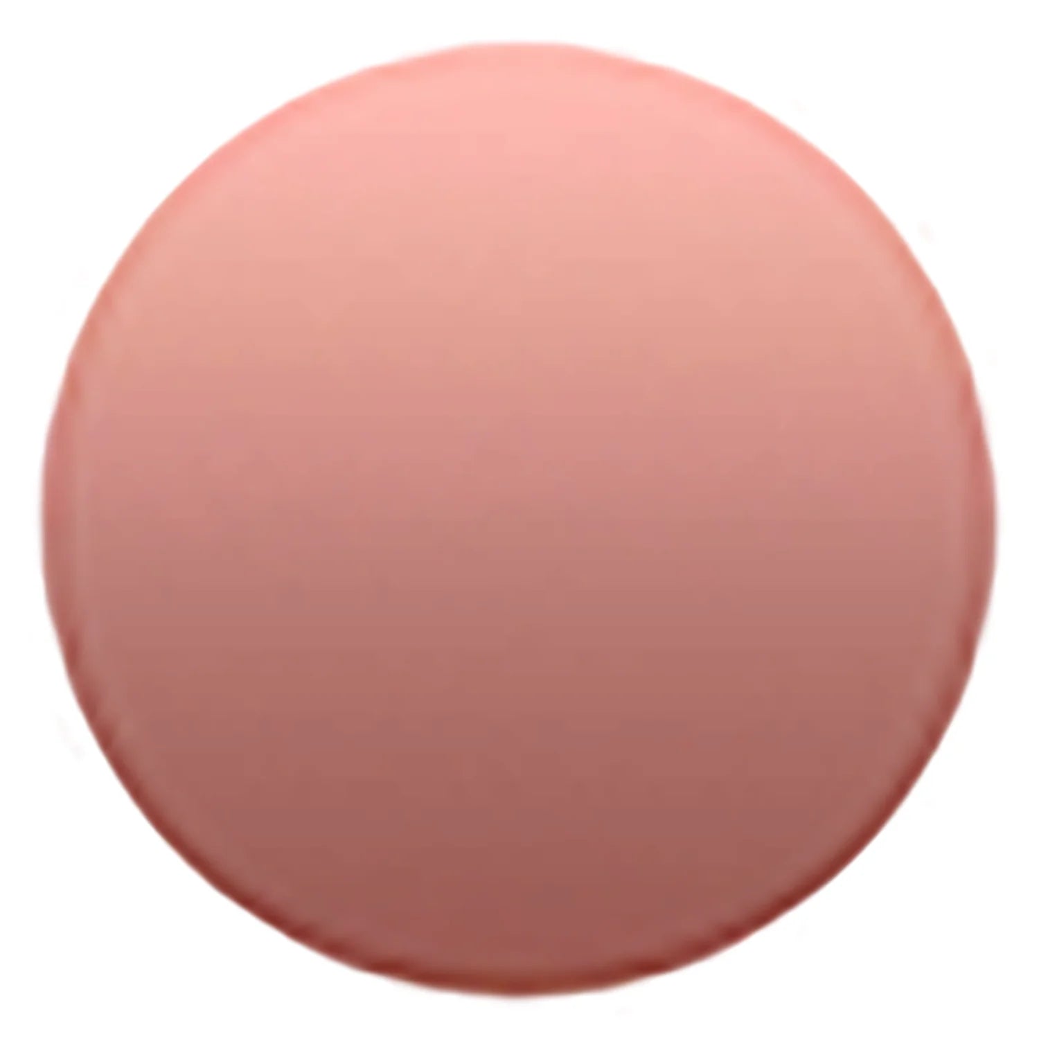 Pet Memorial Jewelry Custom Pet Urn Necklace Urns for Dogs Pet Loss Gifts Cat Urn Ashes Pet Custom Stainless Steel Pet Necklace