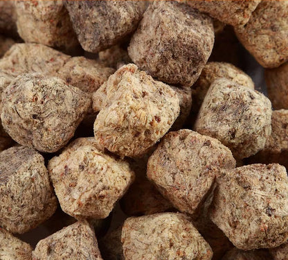 Fish Food Red Blood Warm Brine Shrimp Dry Vacuum Freeze-Dried Artemia Salina Tropical Aquarium Small Fish Feed