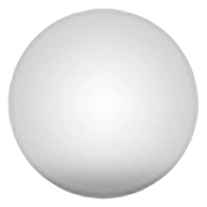 Pet Memorial Jewelry Custom Pet Urn Necklace Urns for Dogs Pet Loss Gifts Cat Urn Ashes Pet Custom Stainless Steel Pet Necklace