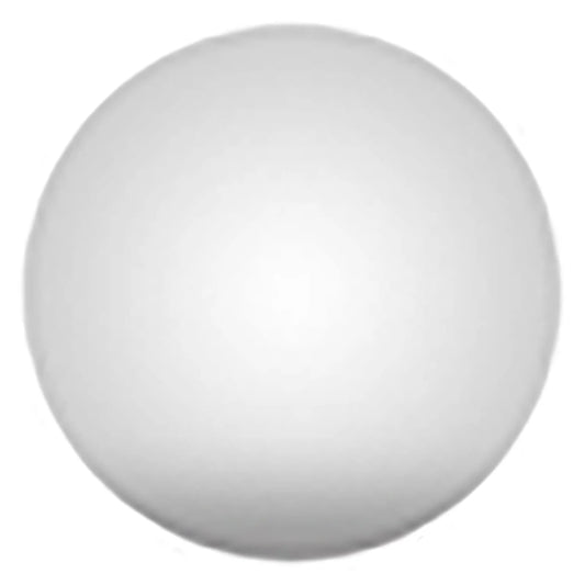 Pet Memorial Jewelry Custom Pet Urn Necklace Urns for Dogs Pet Loss Gifts Cat Urn Ashes Pet Custom Stainless Steel Pet Necklace