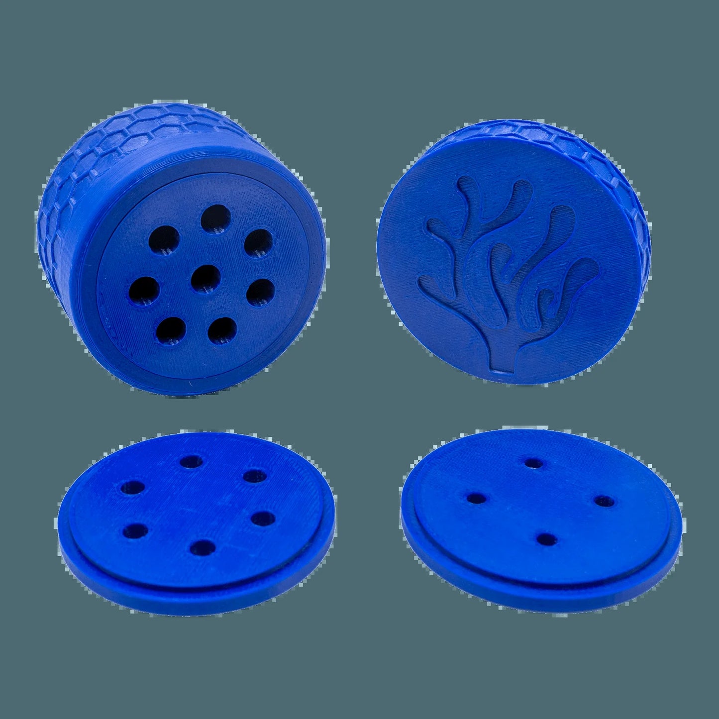 Copperband Butterfly Fish Feeder
